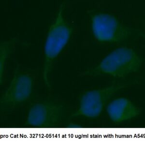 Human CD14 AssayLite Antibody (FITC Conjugate)