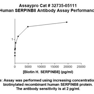Human Serpin B8 Antibody (Biotin Conjugate)