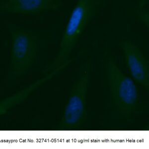 Human PSAT1 AssayLite Antibody (FITC Conjugate)