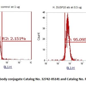 Human DUSP10 AssayLite Antibody (FITC Conjugate)