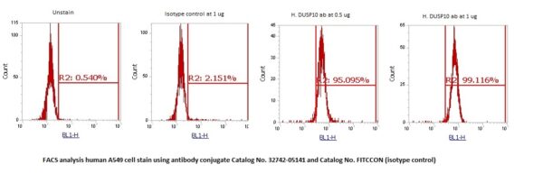 Human DUSP10 AssayLite Antibody (FITC Conjugate)