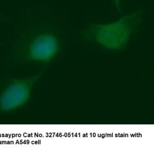 Human Alcohol Dehydrogenase 1C (ADH1C) AssayLite Antibody (FITC Conjugate)