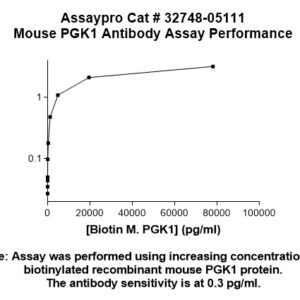 Mouse PGK1 Antibody