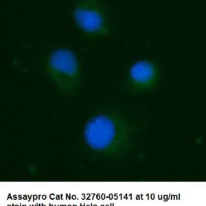 Human Carbonic Anhydrase 2 (CA2) AssayLite Antibody (FITC Conjugate)