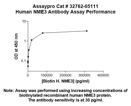 Human NME3 Antibody (Biotin Conjugate)