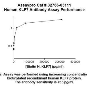 Human KLF7 Antibody