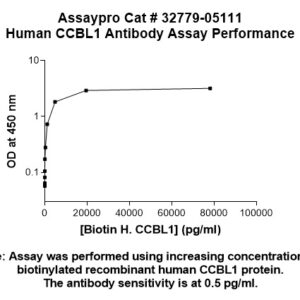 Human CCBL1 Antibody
