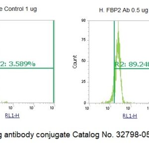 Human FBP2 AssayLite Antibody (APC Conjugate)