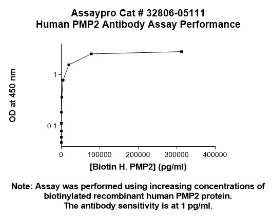 Human PMP2 Antibody