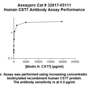 Human Cystatin-F (CST7) Antibody