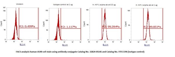 Human HIF-1 alpha AssayLite Antibody (FITC Conjugate)