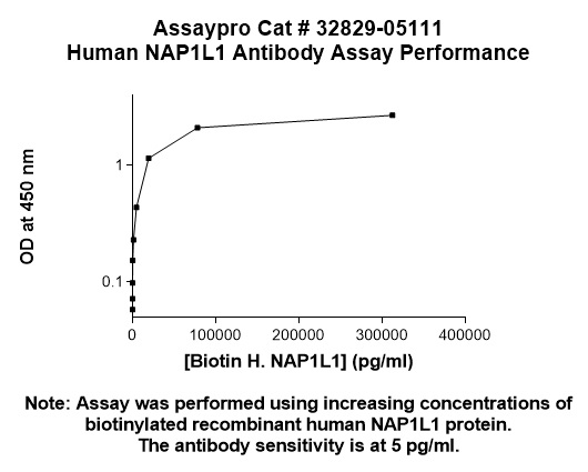 Human NAP1L1 Antibody