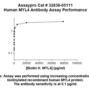 Human MYL4 Antibody
