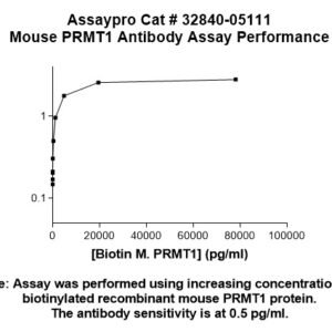 Mouse PRMT1 Antibody
