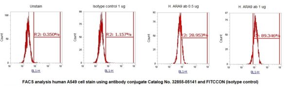 Human ARA9 AssayLite Antibody (FITC Conjugate) - Image 2