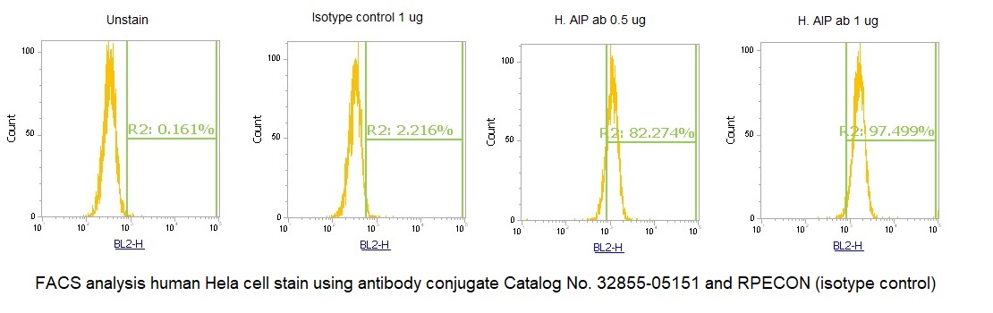Human ARA9 AssayLite Antibody (RPE Conjugate) - Image 2