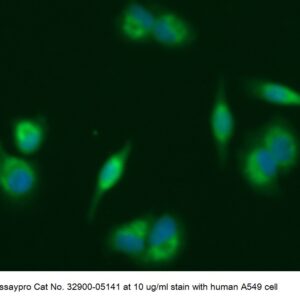 Human ADPRH AssayLite Antibody (FITC Conjugate)