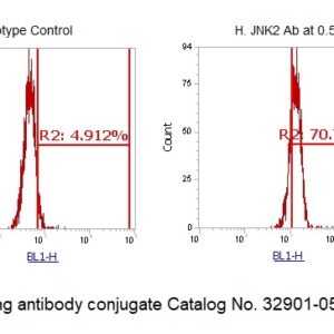 Human JNK2 AssayLite Antibody (FITC Conjugate)