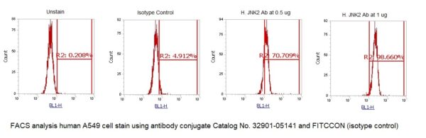 Human JNK2 AssayLite Antibody (FITC Conjugate)