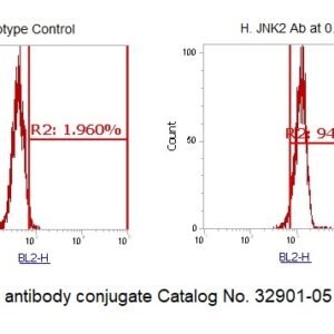 Human JNK2 AssayLite Antibody (RPE Conjugate)