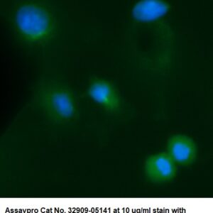 Human Ubiquitin AssayLite Antibody (FITC Conjugate)