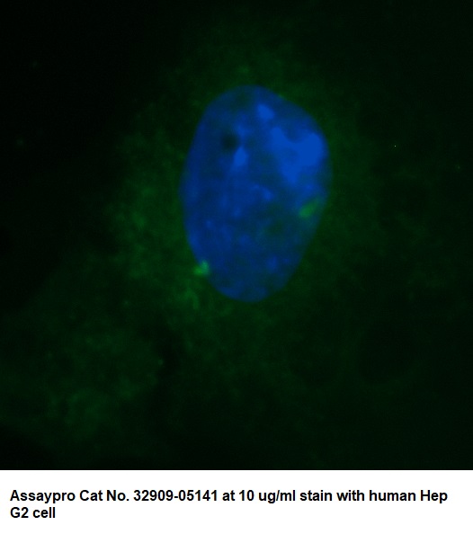 Human Ubiquitin AssayLite Antibody (FITC Conjugate) - Image 2