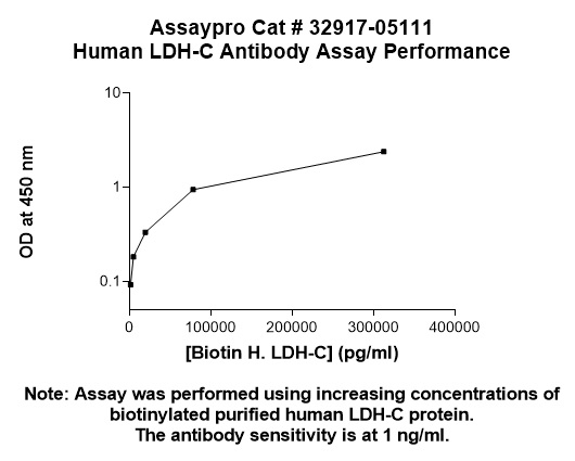Human Lactate Dehydrogenase C Antibody