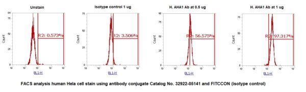 Human AHA1 AssayLite Antibody (FITC Conjugate) - Image 2