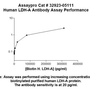 Human Lactate Dehydrogenase Isoenzyme V Antibody