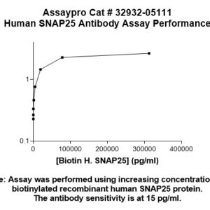 Human SNAP25 Antibody