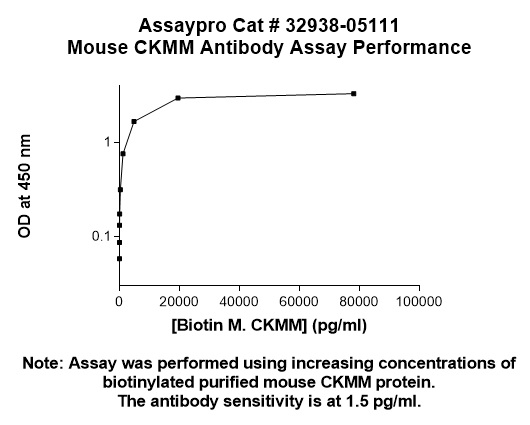 Mouse CKMM Antibody
