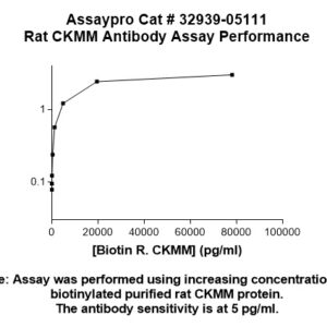 Rat CKMM Antibody (Biotin Conjugate)