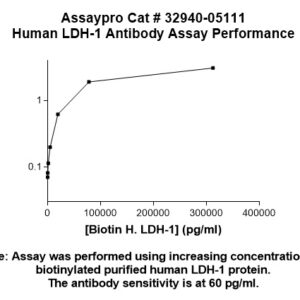 Human Lactate Dehydrogenase 1 (LDH-1) Antibody