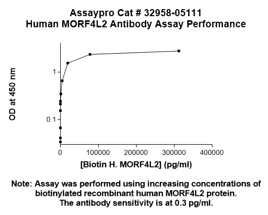 Human Mortality Factor 4 like 2 Antibody