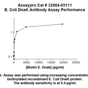 E. Coli DnaK (508-638 aa) Antibody