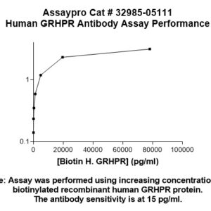 Human GRHPR Antibody