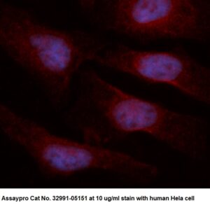 Human Diazepam Binding Inhibitor AssayLite Antibody (RPE Conjugate)