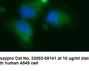 Human ACAT2 Antibody (FITC Conjugate)