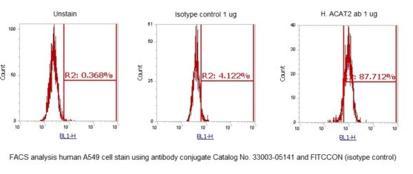 Human ACAT2 AssayLite Antibody (FITC Conjugate)