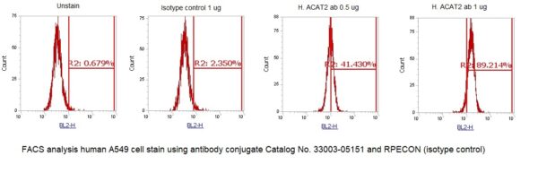 Human ACAT2 AssayLite Antibody (RPE Conjugate) - Image 2