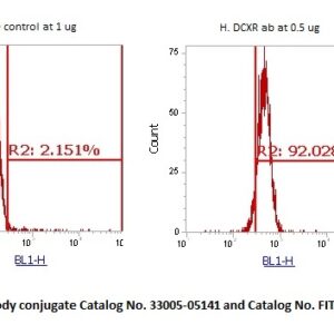 Human DCXR Antibody (FITC Conjugate)