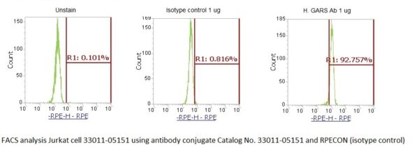 Human Glycyl-tRNA Synthetase (GARS) AssayLite Antibody (RPE Conjugate) - Image 2