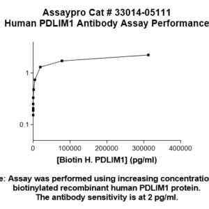 Human PDLIM1 Antibody