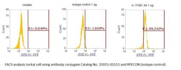Human Integrin beta-1 (ITGB1) Antibody (RPE Conjugate)