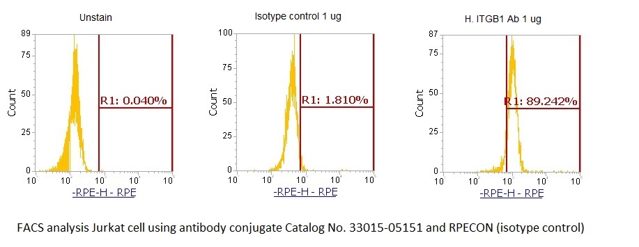 Human Integrin beta-1 (ITGB1) Antibody (RPE Conjugate)
