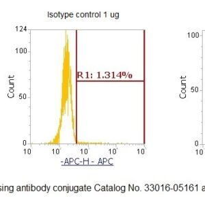 Human ADP-ribosylation Factor 6 (ARF6) AssayLite Antibody (APC Conjugate)