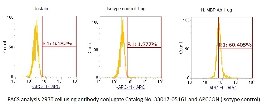Human Myelin Basic Protein (MBP) AssayLite Antibody (APC Conjugate)