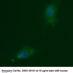 Human CRK-like Protein (CRKL) AssayLite Antibody (FITC Conjugate)