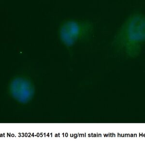 Human Placenta-specific Gene 8 Protein (PLAC8) AssayLite Antibody (FITC Conjugate)