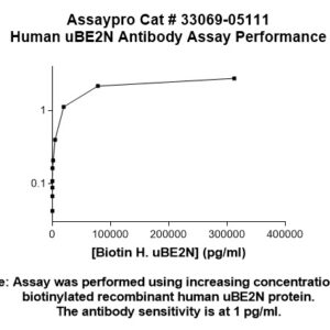 Human UBE2N Antibody
